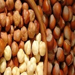 Price and purchase hazelnut fruit in marathi with complete specifications