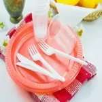 Price and purchase plate disposable plastic with complete specifications