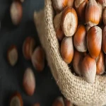 The price of bulk purchase of best hazelnut in the world is cheap and reasonable