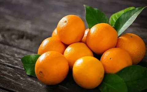 Price and purchase small orange fruit with leaves with complete specifications