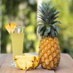 Bulk purchase of pineapple concentrate juice with the best conditions
