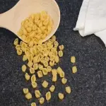 Price and purchase pasta small shells with complete specifications