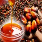Bulk purchase of date syrup uae with the best conditions