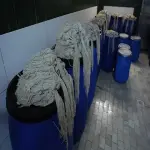 Learning to buy a frozen lamb intestine from zero to one hundred