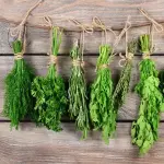 Method of Production Medicinal Herbal Extracts and Buy at Competitive Price