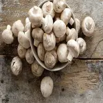 White Mushroom in Pakistan; Joint Pain Mobility Reducer Red Blood Cell Producer