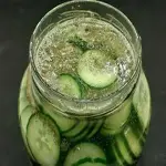 Bulk purchase of cucumber pickles fresh with the best conditions