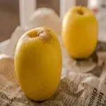 what is honeycrisp apple + purchase price of honeycrisp apple