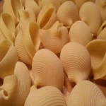 Price and purchase shell pasta shapes with complete specifications