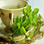 Mint sweat acquaintance from zero to one hundred bulk purchase prices