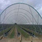 greenhouse plastic australia specifications and how to buy in bulk