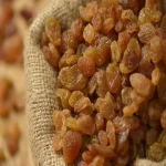 buy raisins sultanas+Introducing the broadcast and supply factory