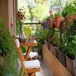 apartment flower bed acquaintance from zero to one hundred bulk purchase prices