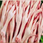 Price and purchase chicken feet qatar with complete specifications