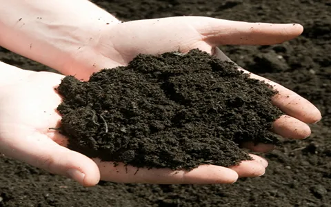 zinc rich soil buying guide with special conditions and exceptional price