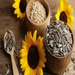 Learning to buy a sunflower seed in hindi from zero to one hundred