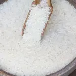 White rice 5kg price list wholesale and economical