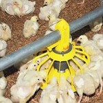 poultry equipment in india with complete explanations and familiarization