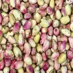 Price and purchase raw fresh pistachio with complete specifications