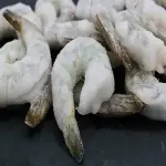 sea urchin shrimp with complete explanations and familiarization
