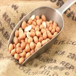 Bulk purchase of high quality peanut with the best conditions