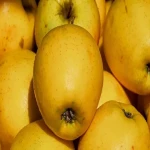 Find the World of Lowest Sugar apples and Their Advantages