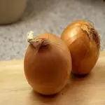 The Best Price for Buying Raw Yellow Onion