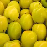 Different Types of Apple in Various Shapes and Colors