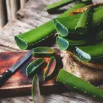 Price and purchase sliced aloe vera with complete specifications