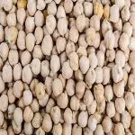 Big White Peas (Navy Peas) Large Size One Handed Appearance Iron Source