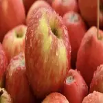 Buy Walmart red apple + introduce the production and distribution factory