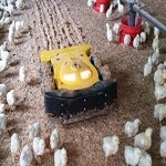 poultry equipment in bangalore price list wholesale and economical