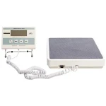 Weight scale digital floor buying guide with special conditions and exceptional price