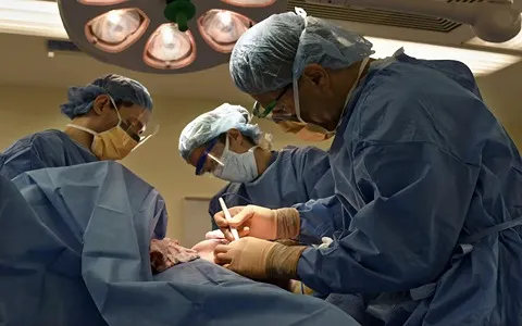 Bulk purchase of plastic surgeon hat with the best conditions