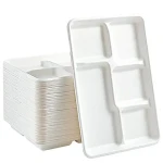 Disposable Plates in Nepal; Affordable 3 Materials Plastic Aluminum Paper Electricity Reducer