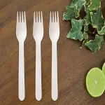 Bulk Purchase of Disposable Wooden Forks with the Best Conditions