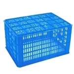 Plastic fruit basket bulk price list wholesale and economical