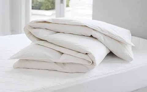 Bulk purchase of Single quilt with the best conditions
