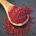 African Sumac (Rhus lancea) Evergreen Dense Shade Drought Resistant Tree