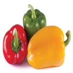 Learning to buy an sweet bell pepper in italiano from zero to one hundred