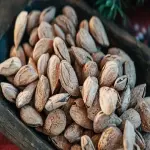 Almond in shell nut buying guide with special conditions and exceptional price