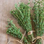 fresh thyme extract with complete explanations and familiarization