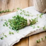 Fresh Thyme Price Per Kg