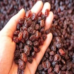Bulk purchase of dried fruit red raisins with the best conditions
