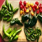 best pepper in the world acquaintance from zero to one hundred bulk purchase prices