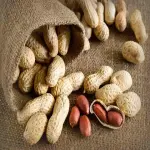 runner peanuts with Complete Explanations and Familiarization