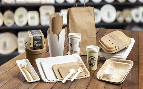 Disposable Plates in Karachi (Dinnerware) Eco Friendly Safe Hygienic Cold Hot Dry Wet Food