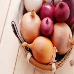 Vietnam Onion Today; Treats Various Diseases Fungal Infections Skin Problems