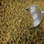 green raisins in chennai acquaintance from zero to one hundred bulk purchase prices
