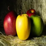 Golden Apple Fruit Per Kg; Includes Carbs Vitamin C B E (Strengthen Nervous System Brain)